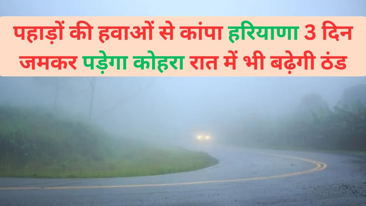 Haryana Weather: पहाड़ों की हवाओं से कांपा हरियाणा, 3 दिन जमकर पड़ेगा कोहरा, रात में भी बढ़ेगी ठंड