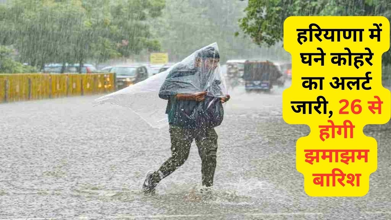Haryana Weather Report: हरियाणा में घने कोहरे का अलर्ट जारी, 26 से होगी झमाझम बारिश