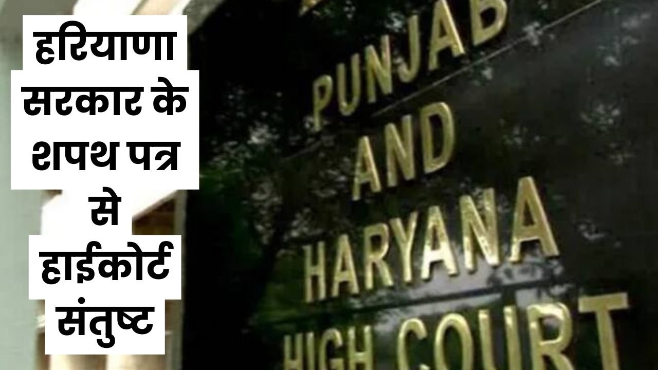 Haryana News: हरियाणा सरकार के शपथ पत्र से हाईकोर्ट संतुष्ट, स्कूलों में बुनियादी सुविधाओं का मामला