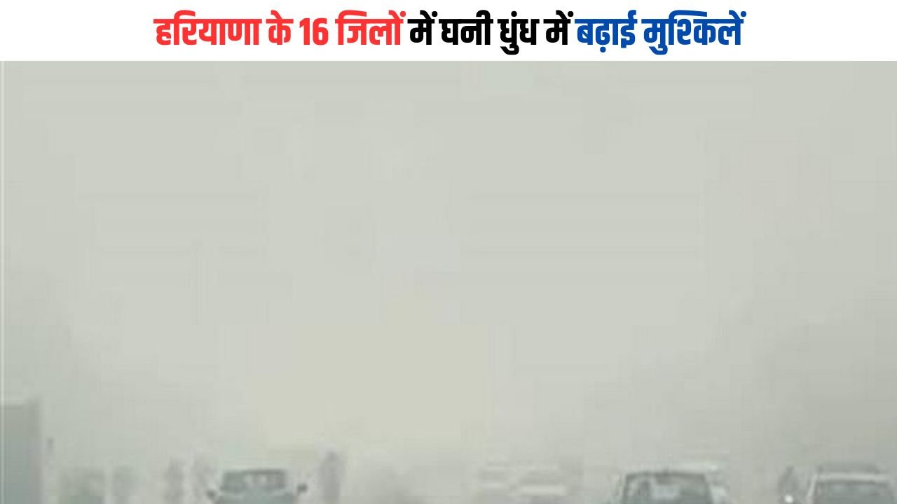 Haryana Cold Wave: हरियाणा के 16 जिलों में घनी धुंध में बढ़ाई मुश्किलें, ये जिला सबसे ठंडा