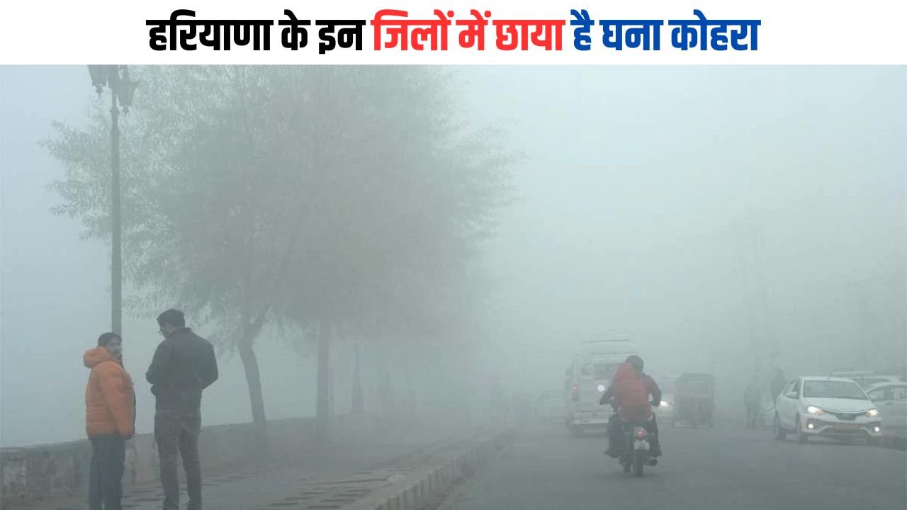Haryana Weather: हरियाणा के इन जिलों में छाया है घना कोहरा, 25 तारीख तक सूखी ठंड पड़ने का अलर्ट