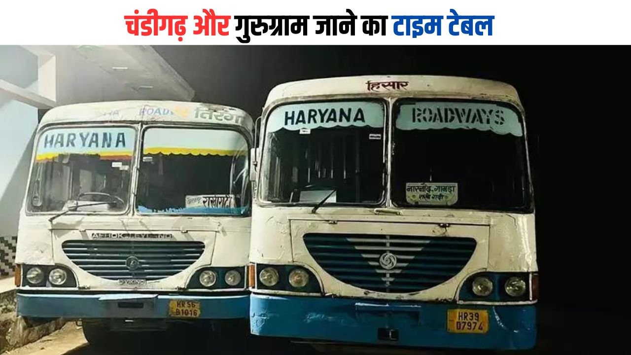 Haryana Roadways Timing: हरियाणा रोडवेज की बसों का शिमला,जयपुर, चंडीगढ़ और गुरुग्राम जाने का टाइम टेबल, देखिए एक क्लिक में​​​​​​​​​​​