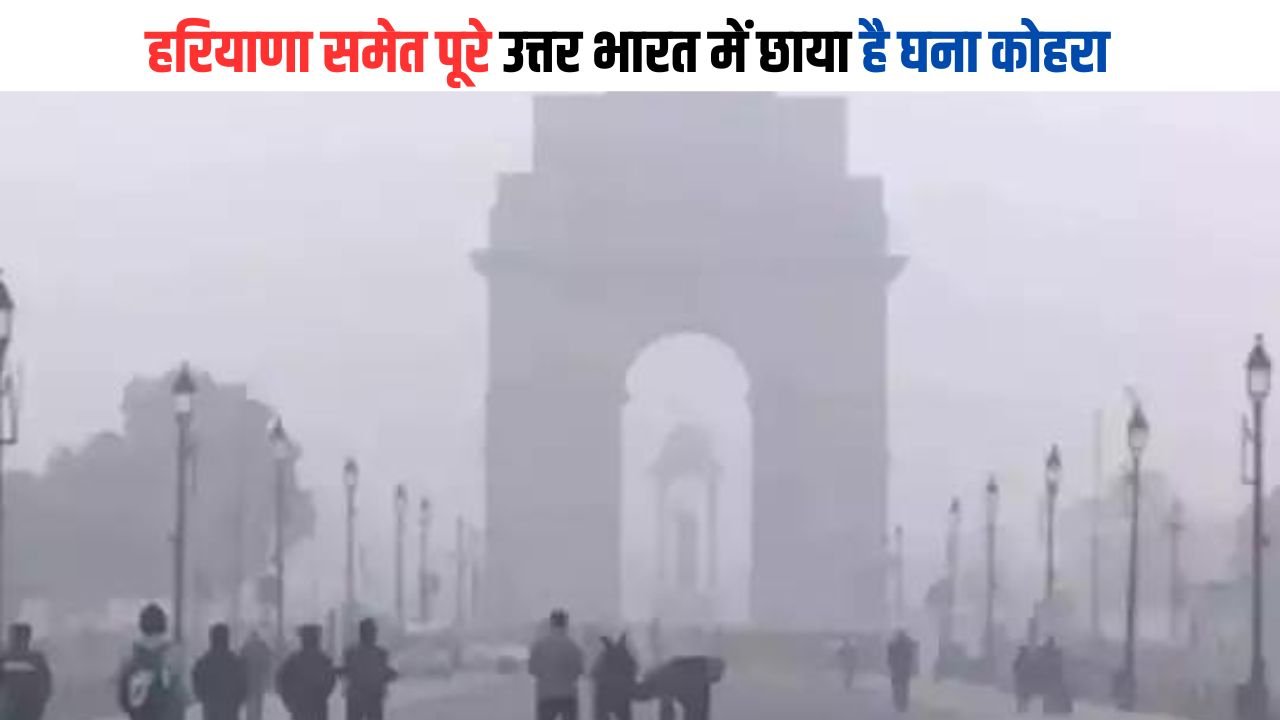 Weather Update: हरियाणा समेत पूरे उत्तर भारत में छाया है घना कोहरा, मौसम विभाग ने जारी किया ऑरेंज अलर्ट