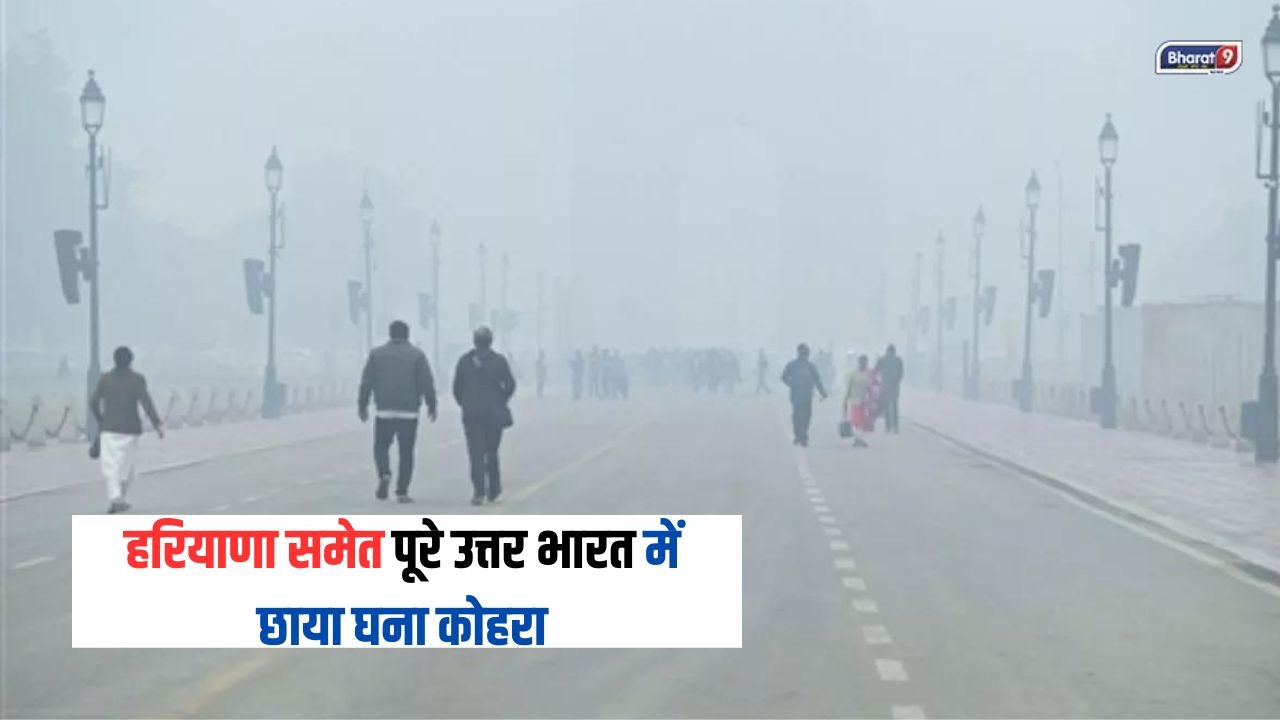 Weather Alert: हरियाणा समेत पूरे उत्तर भारत में छाया घना कोहरा, कश्मीर में जमकर बर्फबारी जारी