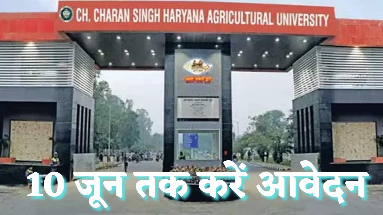 CCSHAU Admissions: चौधरी चरण सिंह हरियाणा कृषि विश्वविद्यालय में लेना है आपको दाखिल, तो इस तारीख तक कर सकते हैं आवेदन